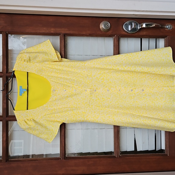 Draper James Bonnie Mini Golden Floral Dress - Picture 4 of 7